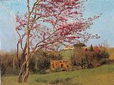 John William Godward Canvas Paintings - Blossoming Red Almond